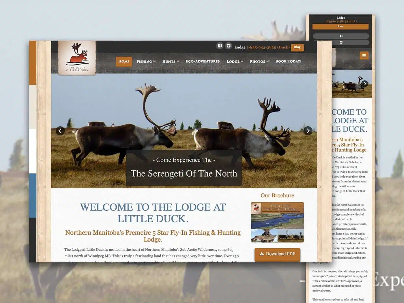 Featured image for “The Lodge at Little Duck”